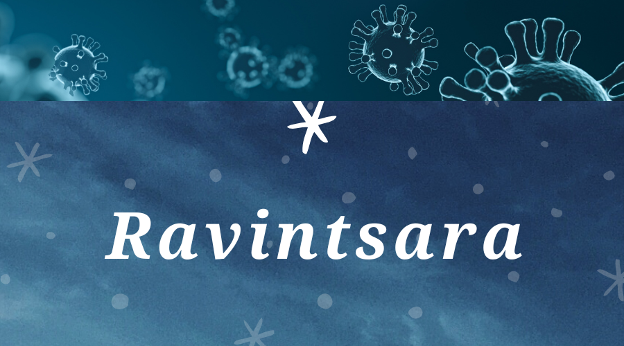 L'huile essentielle de Ravintsara : l'indispensable pour préparer l'hiver !